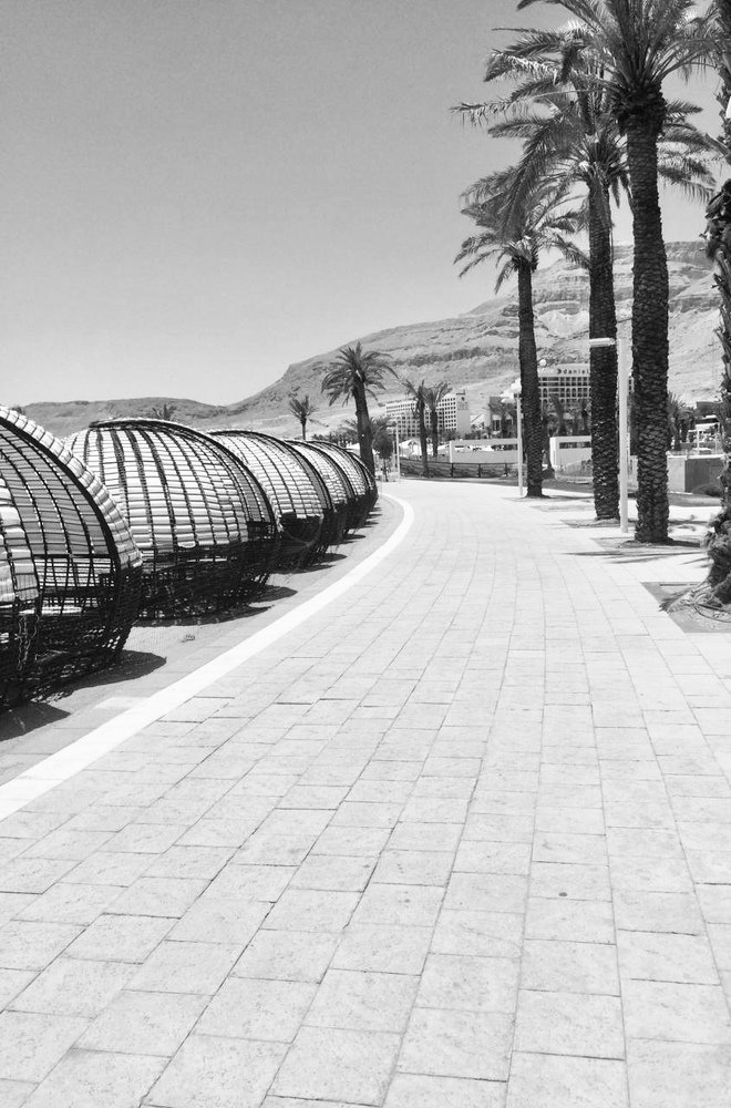 Photograph by Алина Смирнова