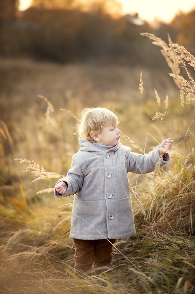 Золотая осень