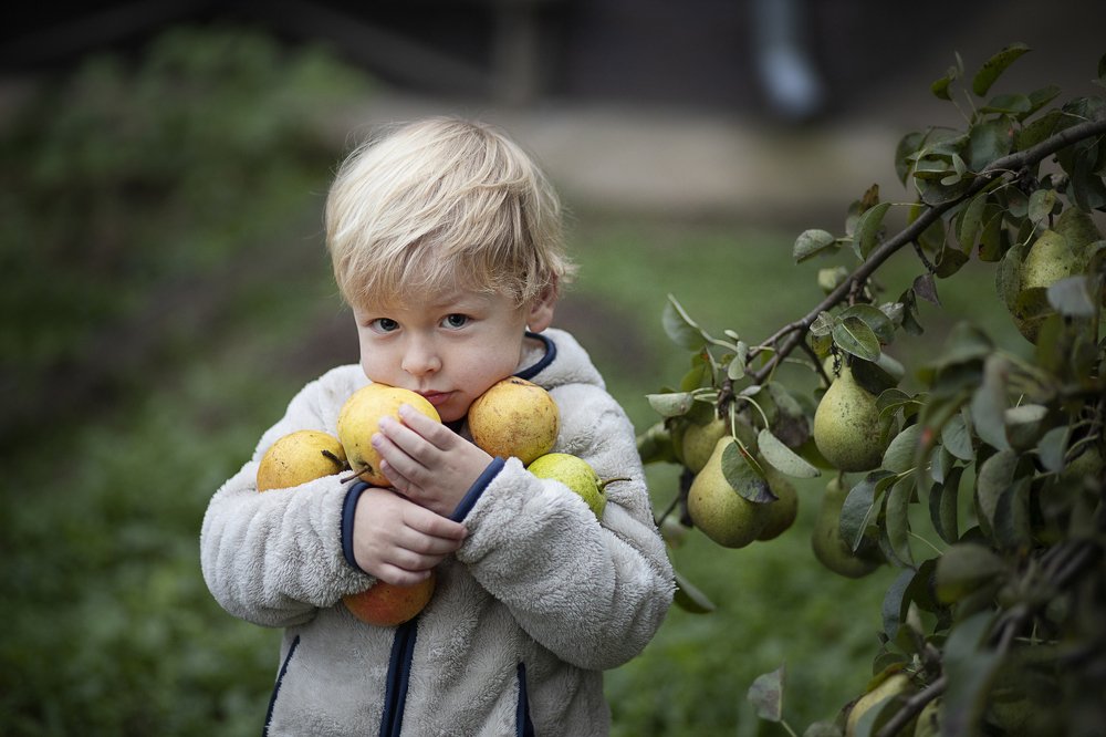 Photograph by Наталья