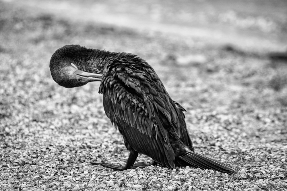 Photograph by Алена