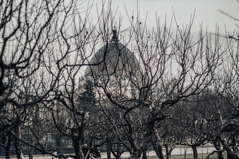 Photograph by Илья Найко