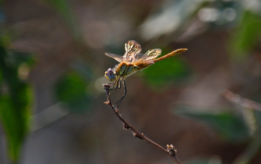 Photograph by Валерия Бердникова