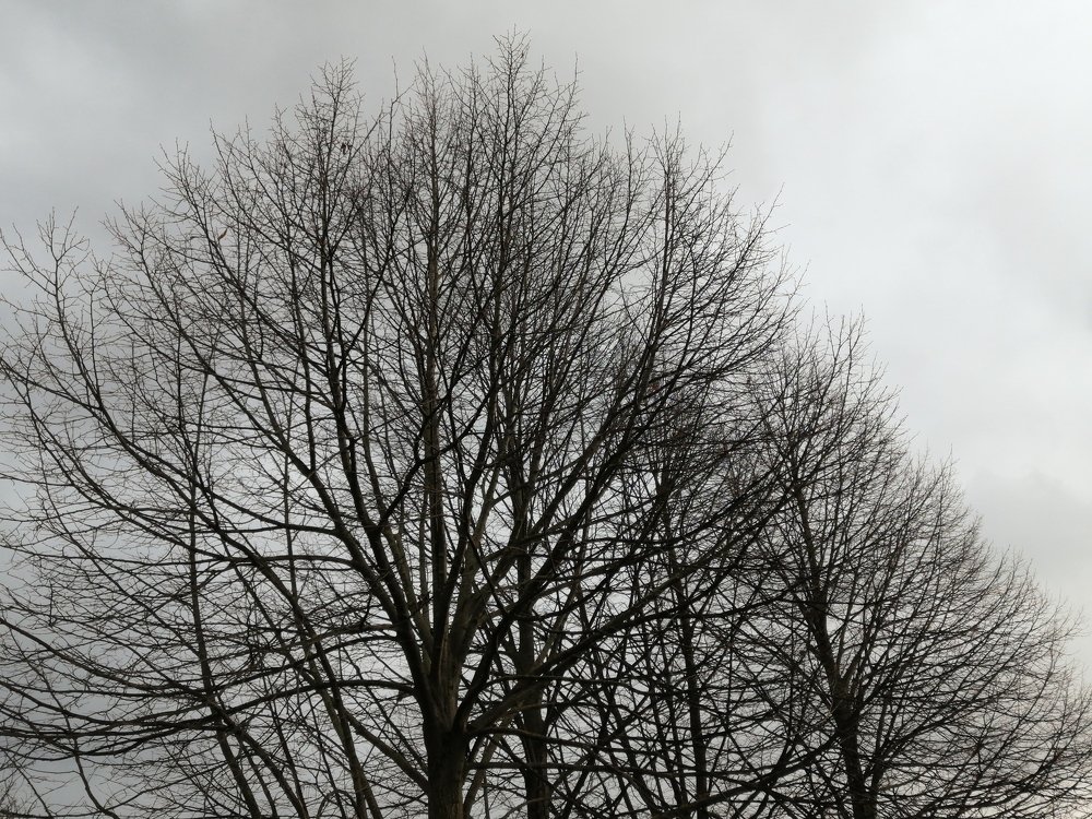 Photograph by Мария Тёмкина