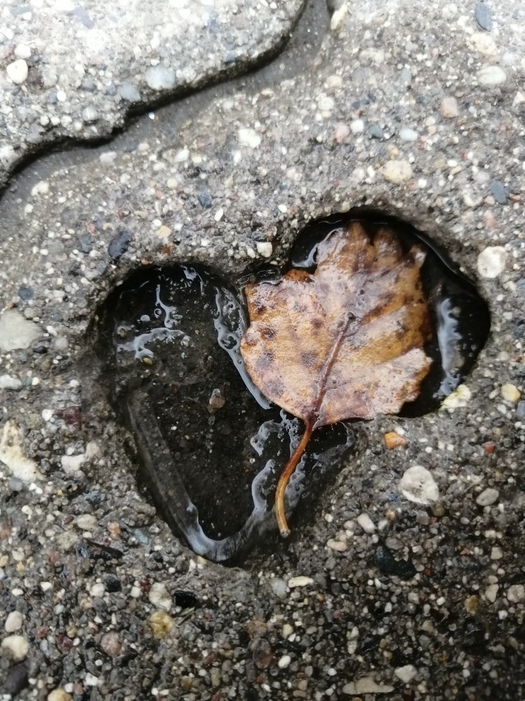 Photograph by Мария Тёмкина