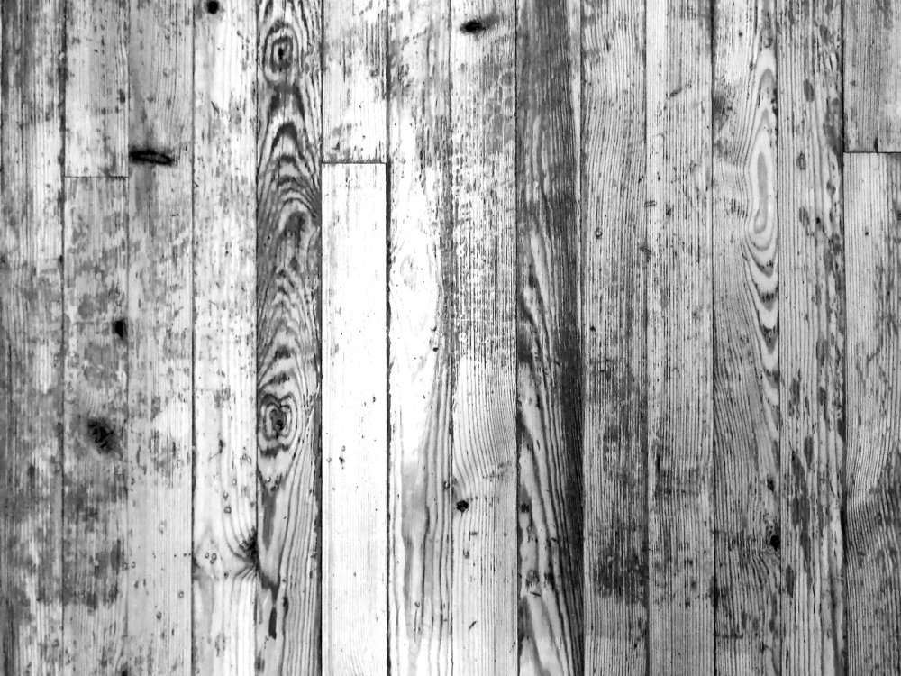 Photograph by Мария Тёмкина