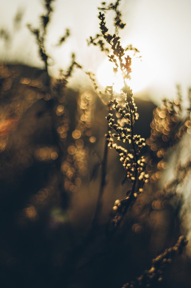 Photograph by Илья Найко