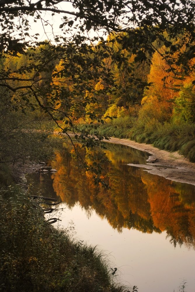 Photograph by Алина