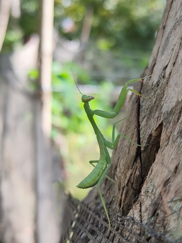 Photograph by Jear Cautivar