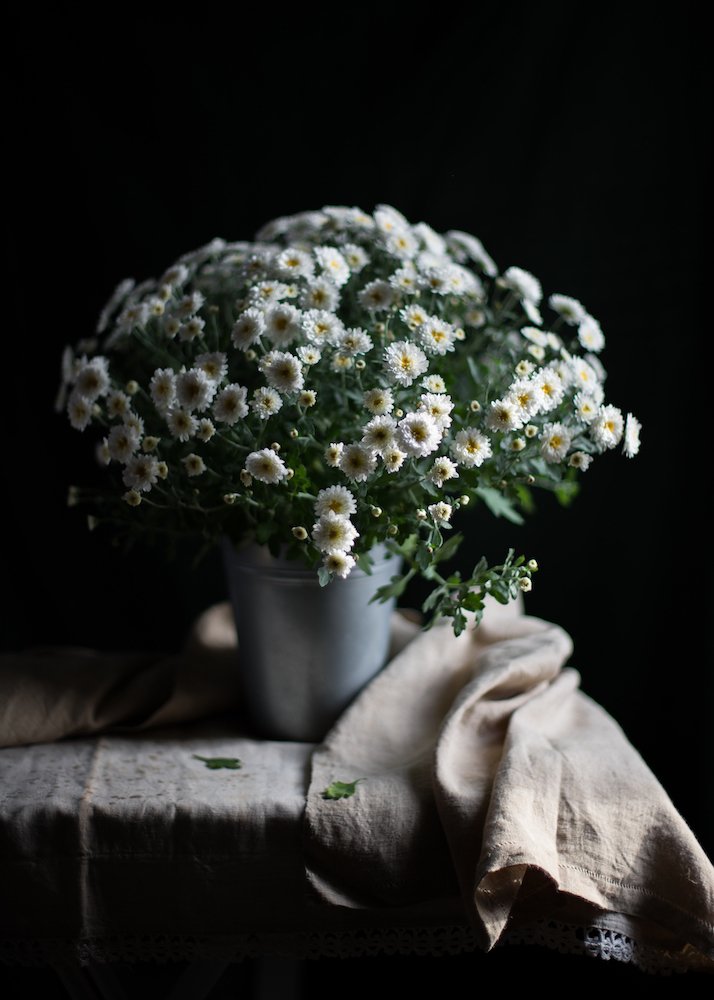 Photograph by Елизавета Калинина