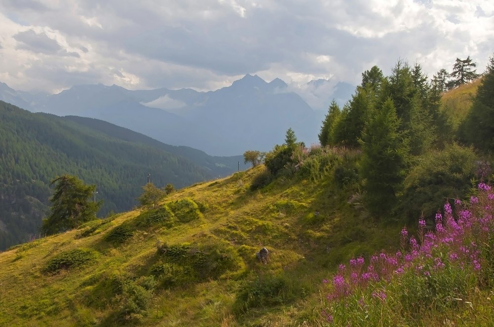 Photograph by Svetlana Rizzo