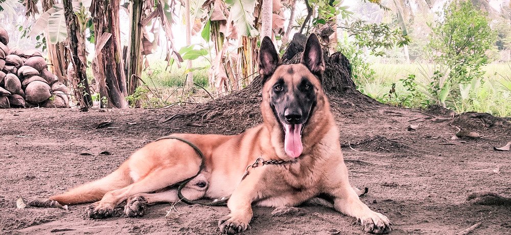 Photograph by Jear Cautivar