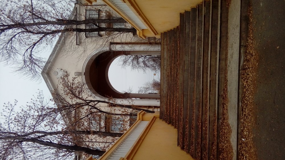 Photo #5193343
