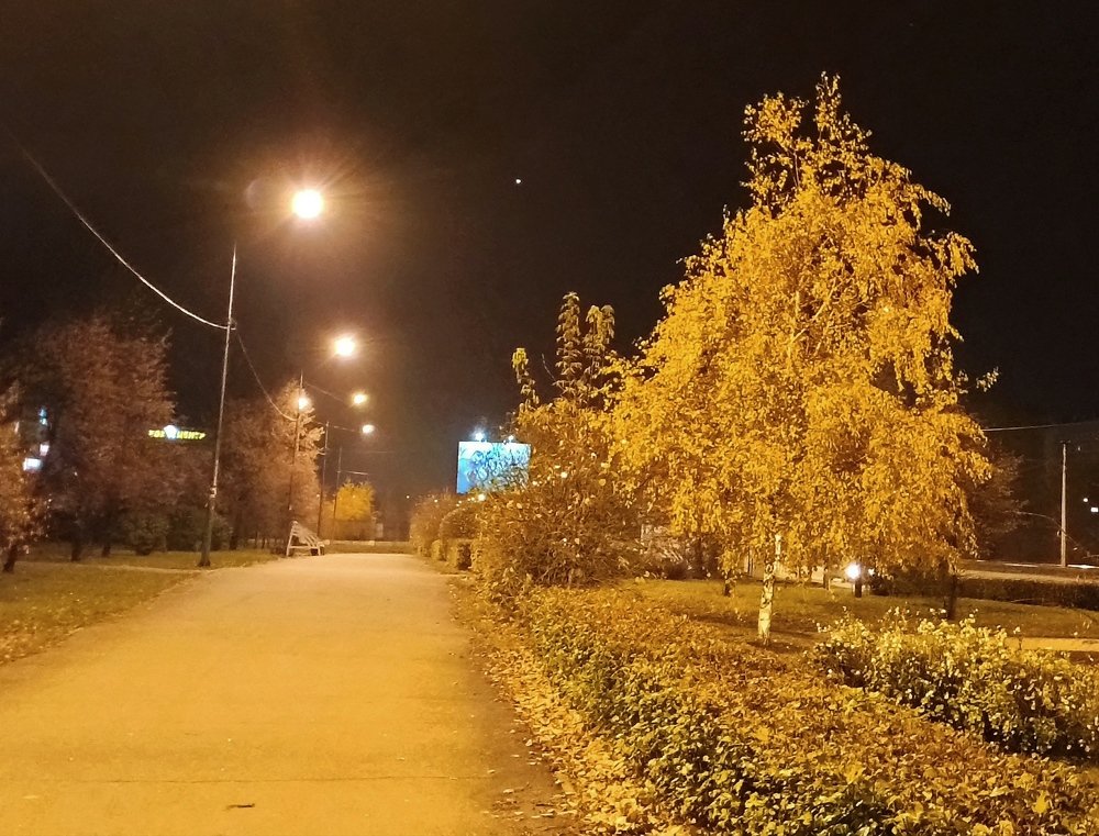 Фотография автора Александр Осинцев