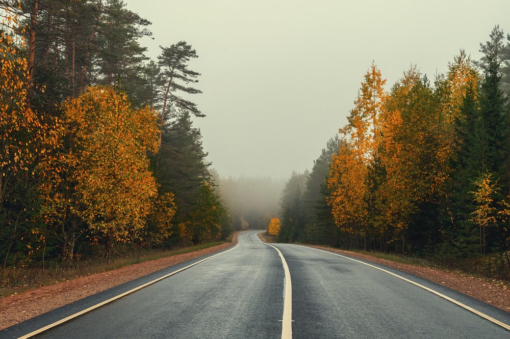 Дорога в осень…