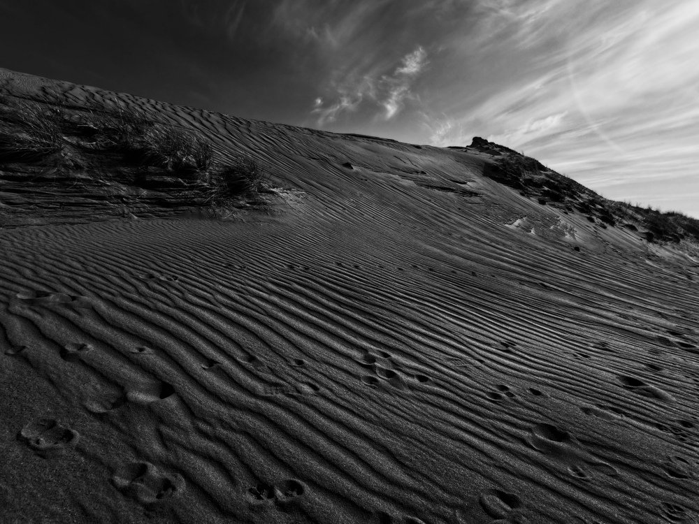 Photograph by Liucija Karaliene