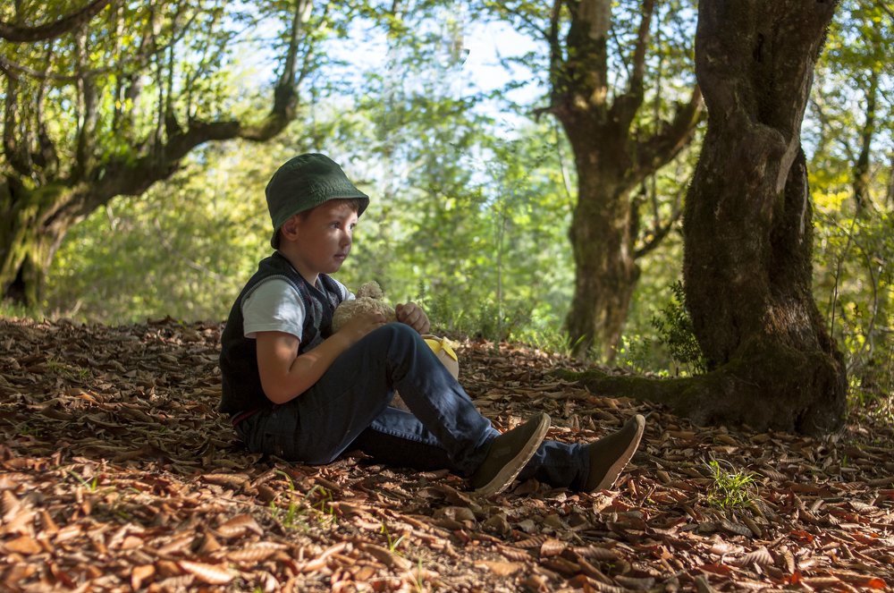 Путешественник по лесу