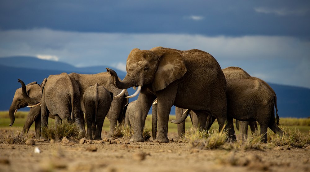 Photograph by Marcha Bauerlein-de Jong