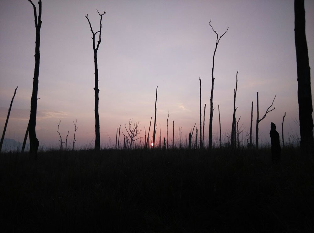 The abstract in Nature!