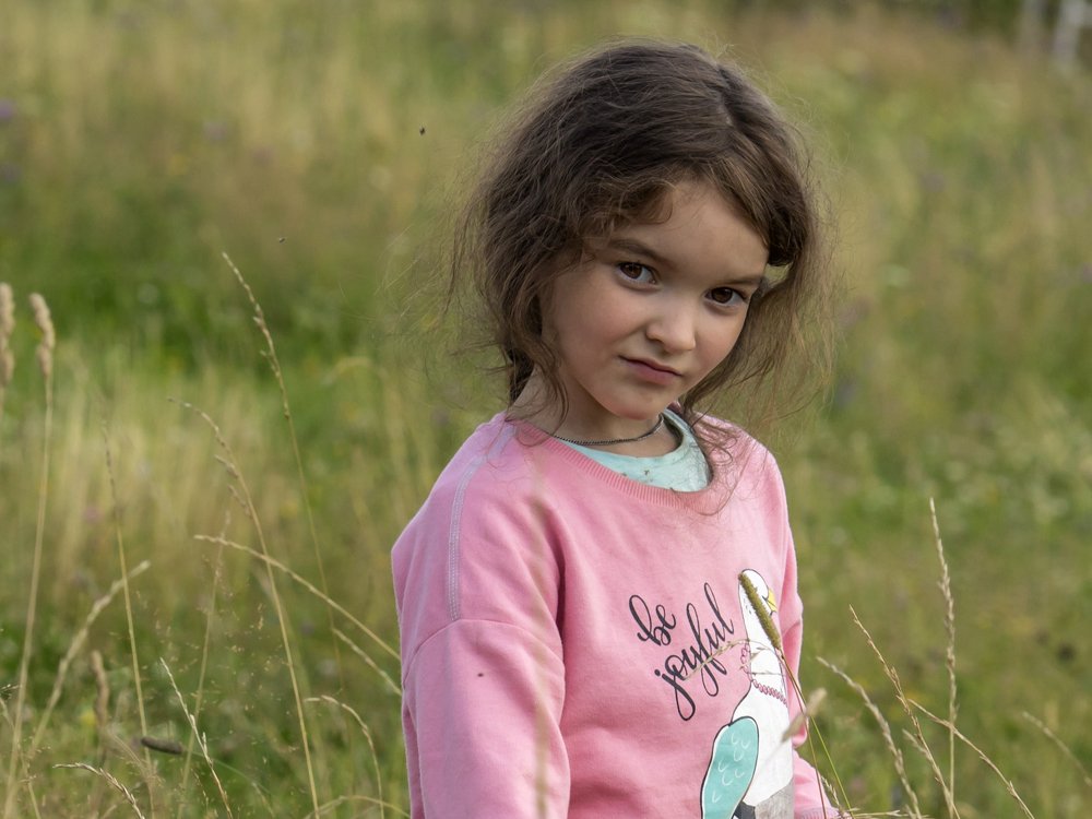 Встреча в поле