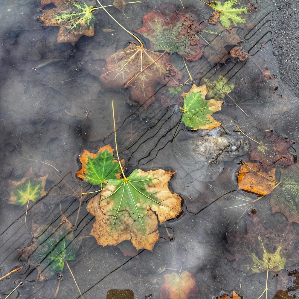 Фотография автора Ирина Курмалеева