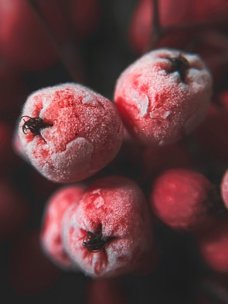 Photograph by Эльвира Курочкина