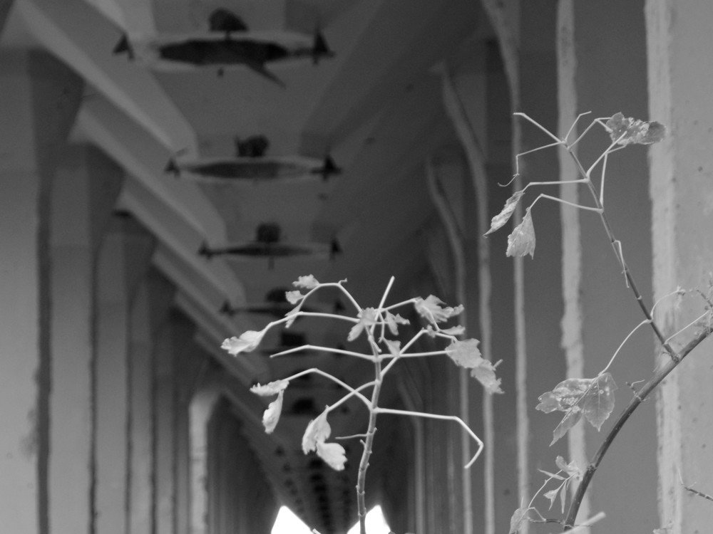 Photograph by Андрей Хитрун