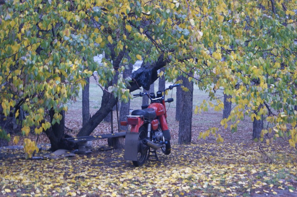 Photograph by Андрей Хитрун