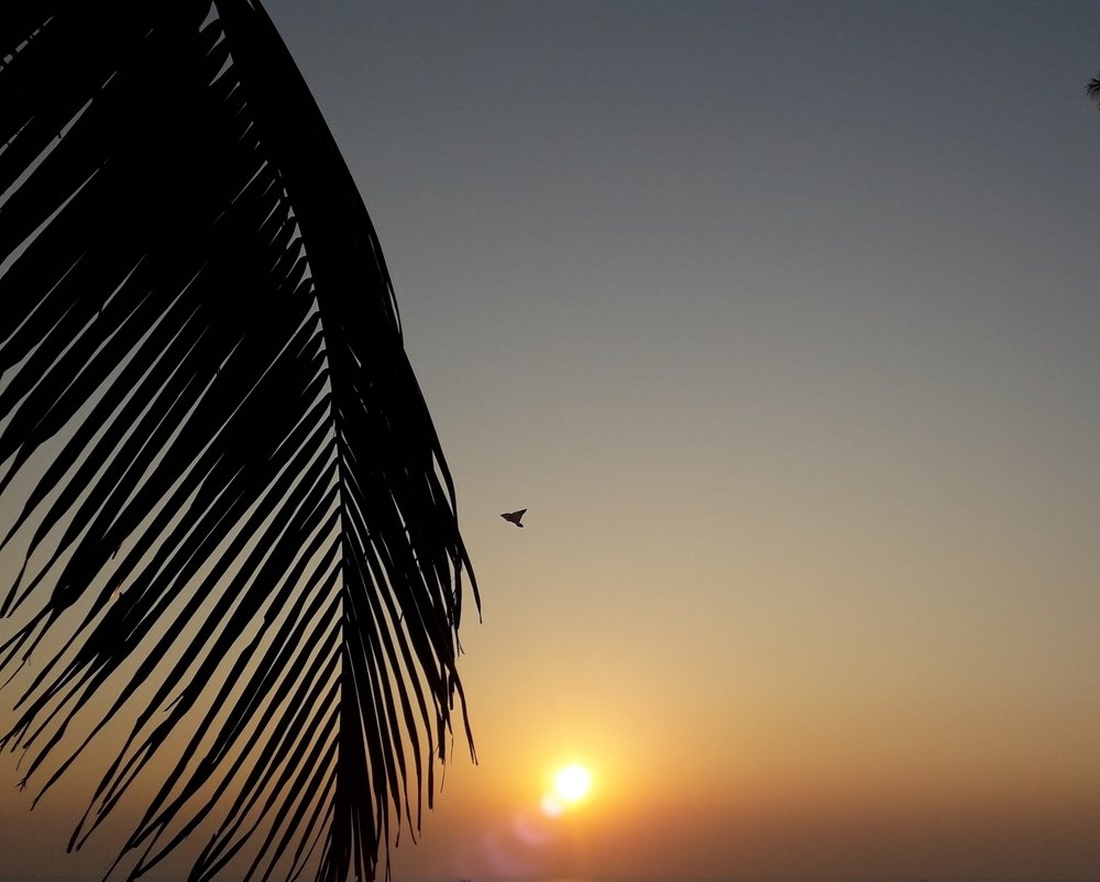 Photograph by Mohammad Obaidul Islam