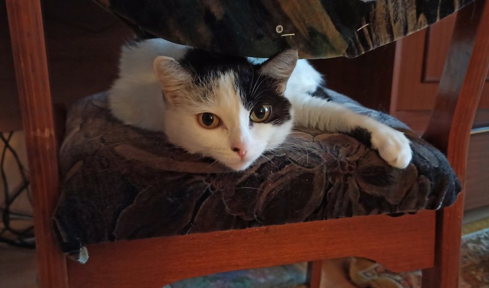 Фотография автора Александр Осинцев