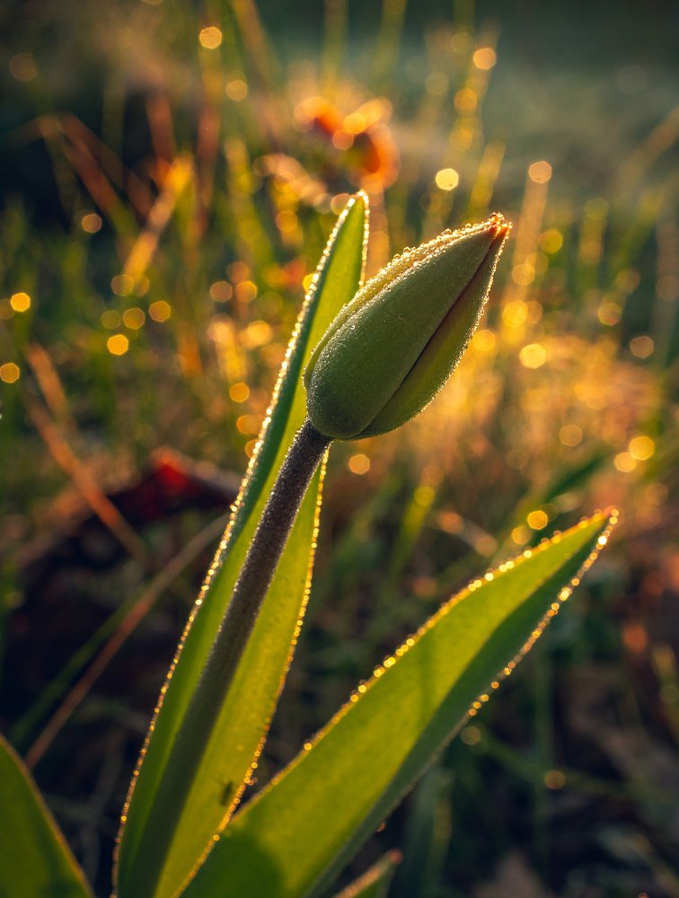 Photograph by Александр