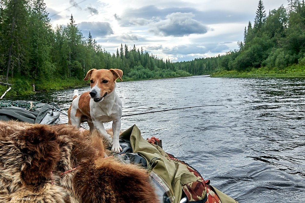 Photograph by Александр Антонов
