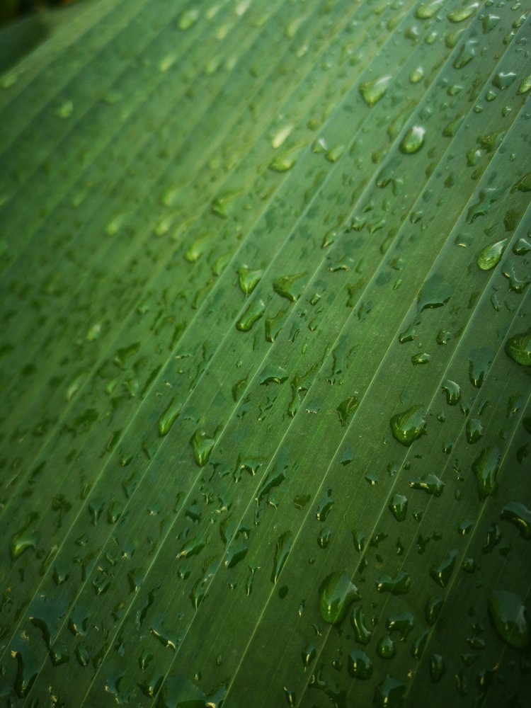 Photograph by Ирина Алексеевская