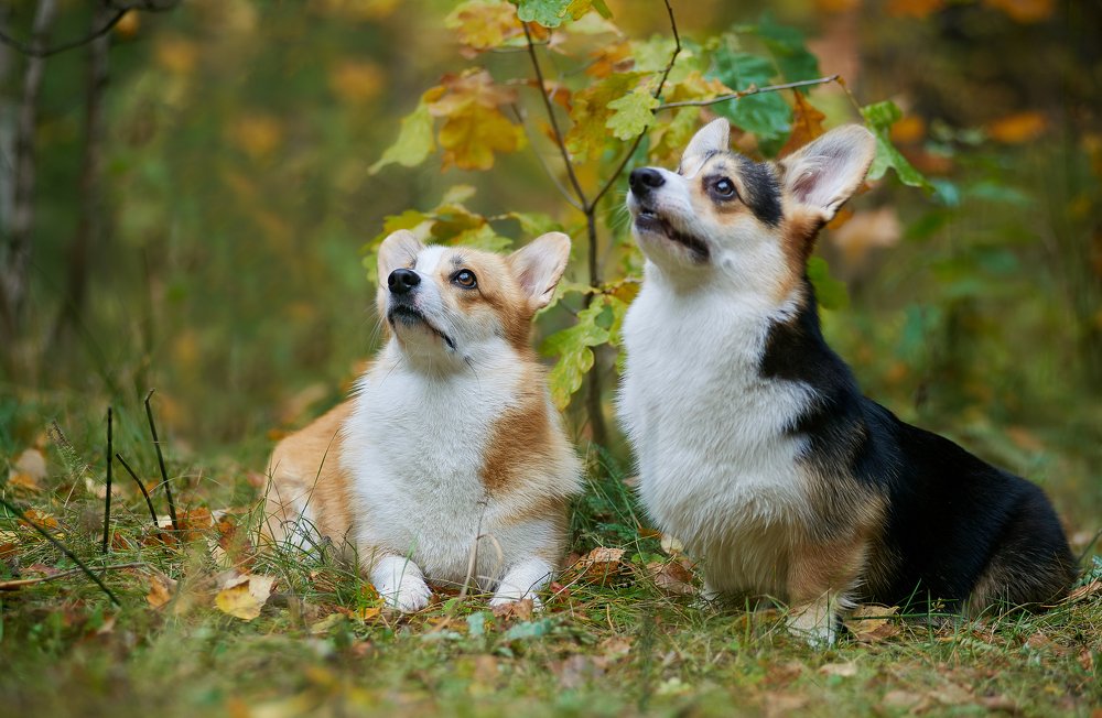 Photograph by Ирина Оболенская