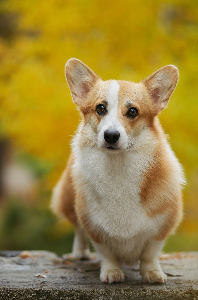 Photograph by Ирина Оболенская