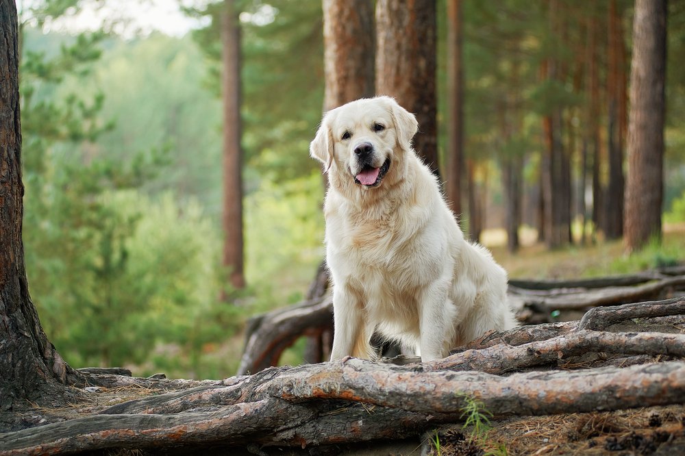 Photograph by Ирина Оболенская