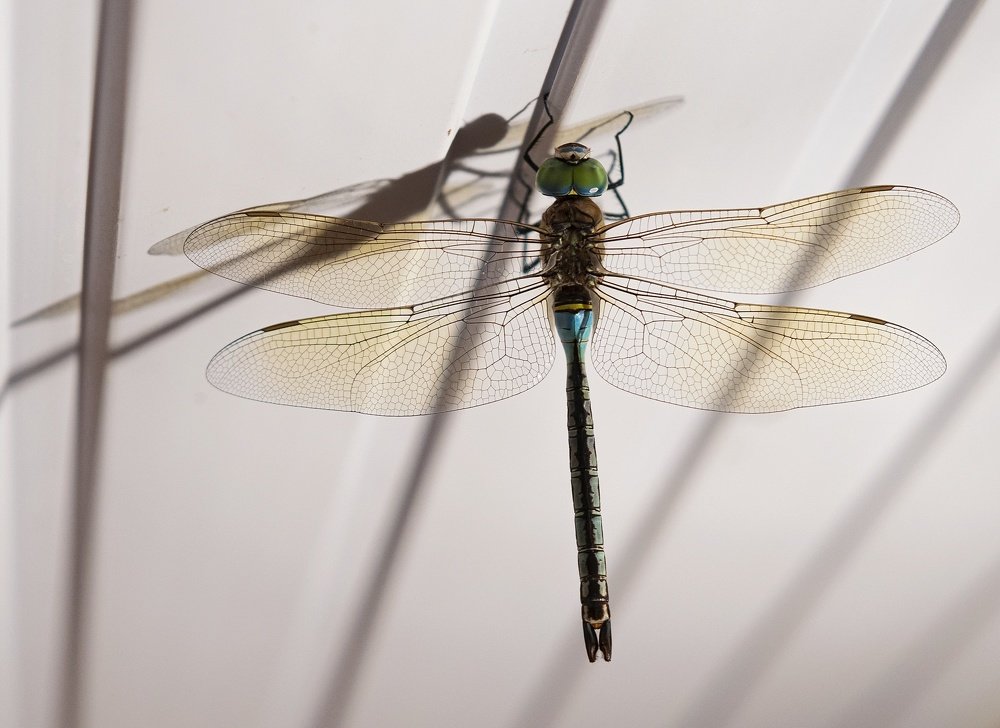 Photograph by Ксения Щербакова