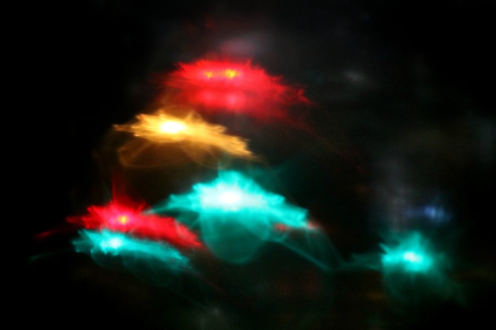 Photograph by Irina Radzinskaya