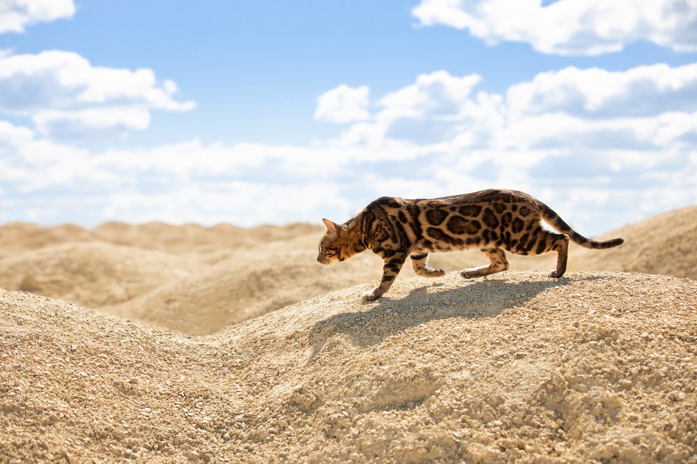 Photograph by Светлана Федоренко