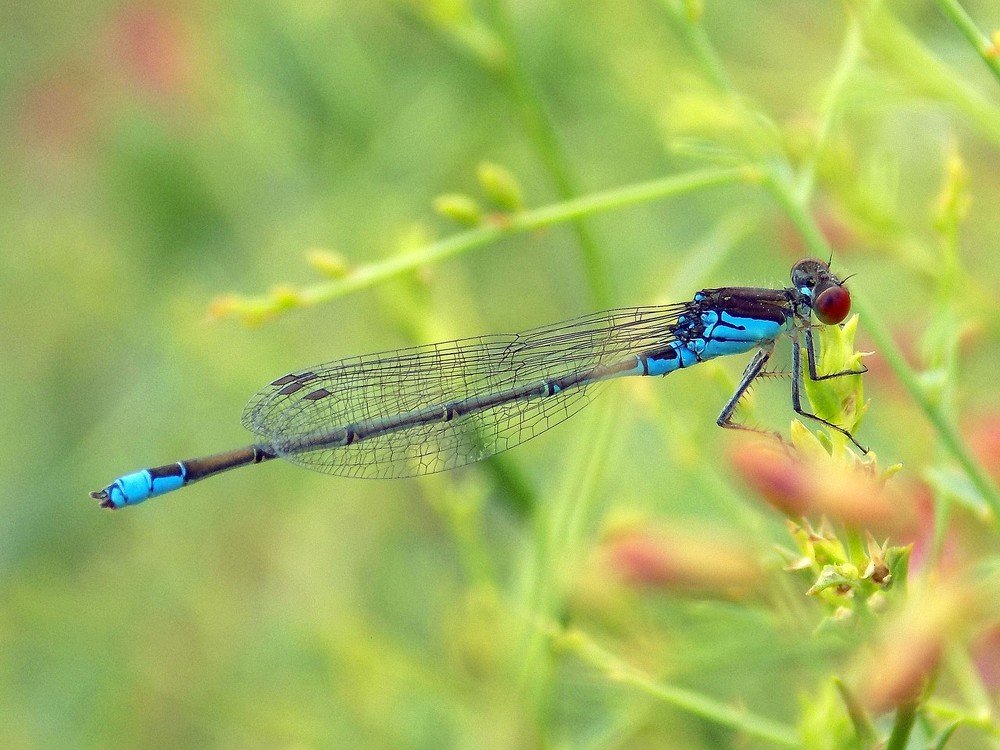 Photograph by Константин Штарк
