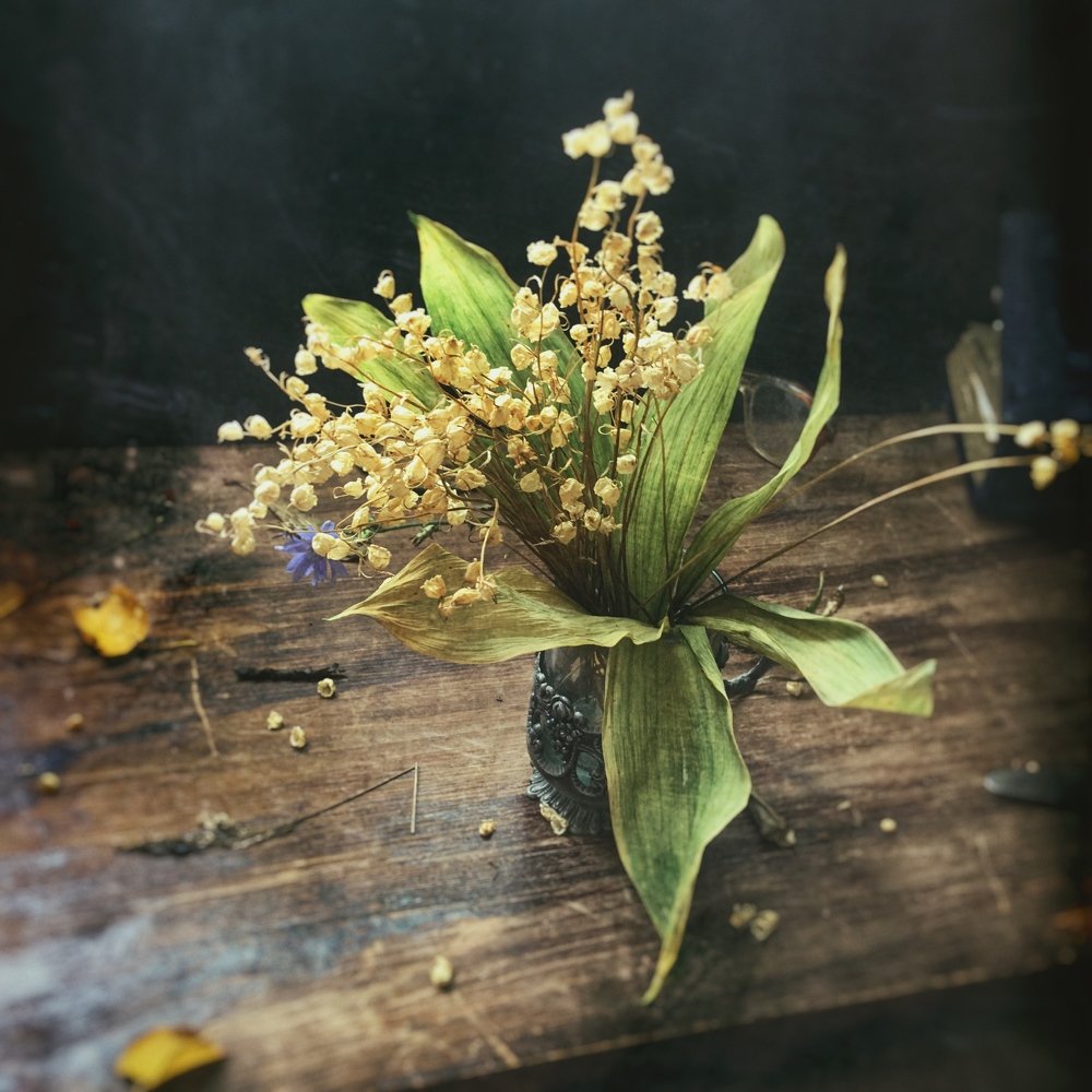 Фотография автора Ирина Курмалеева