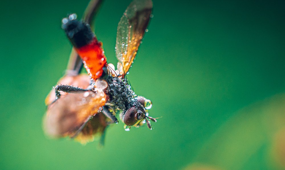 Photograph by Александр