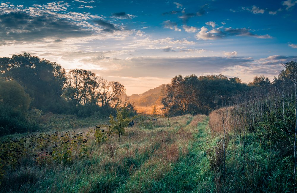 Photograph by Александр