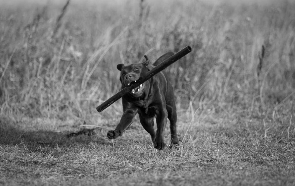 Мизанфа Жоли Евгеника Ностальжи. Рязань.