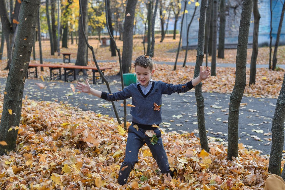 Пора листопада