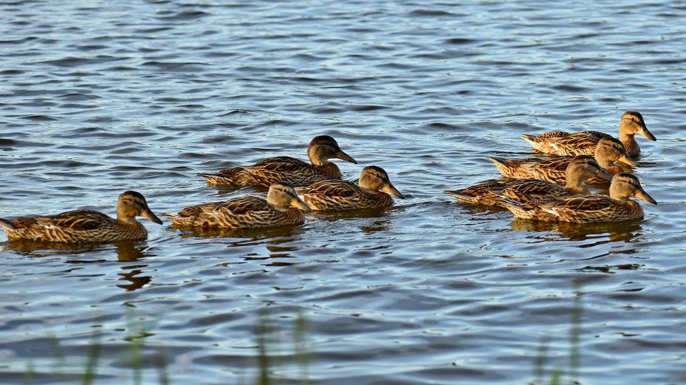 Photograph by Валерий Талейко