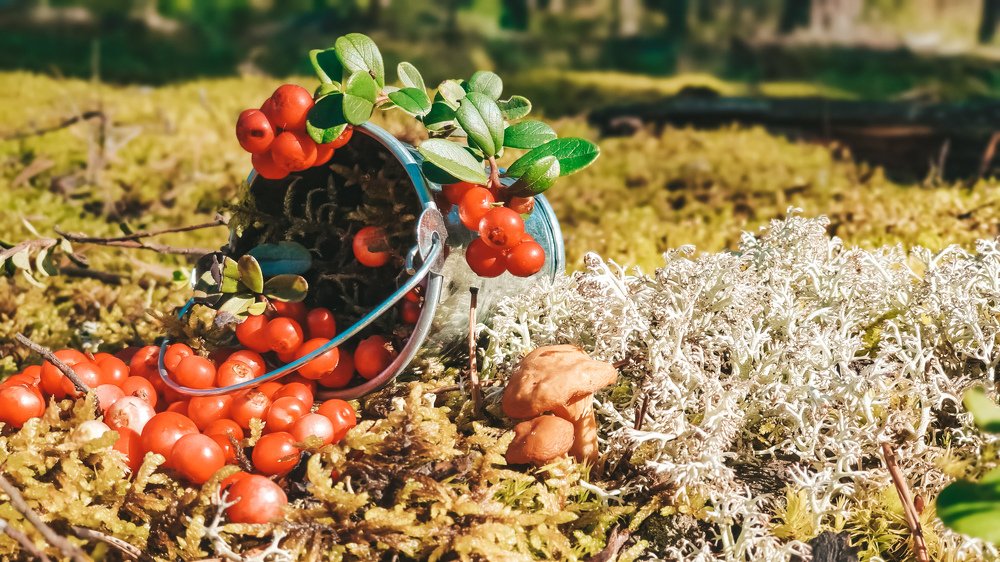 Photograph by Екатерина Фурсова