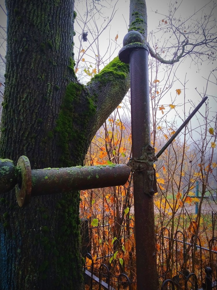 Photograph by Владимир Воложинский