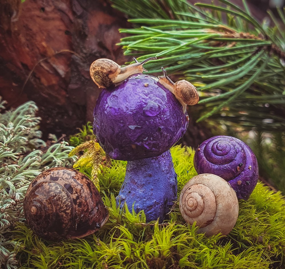 Photograph by Екатерина Фурсова