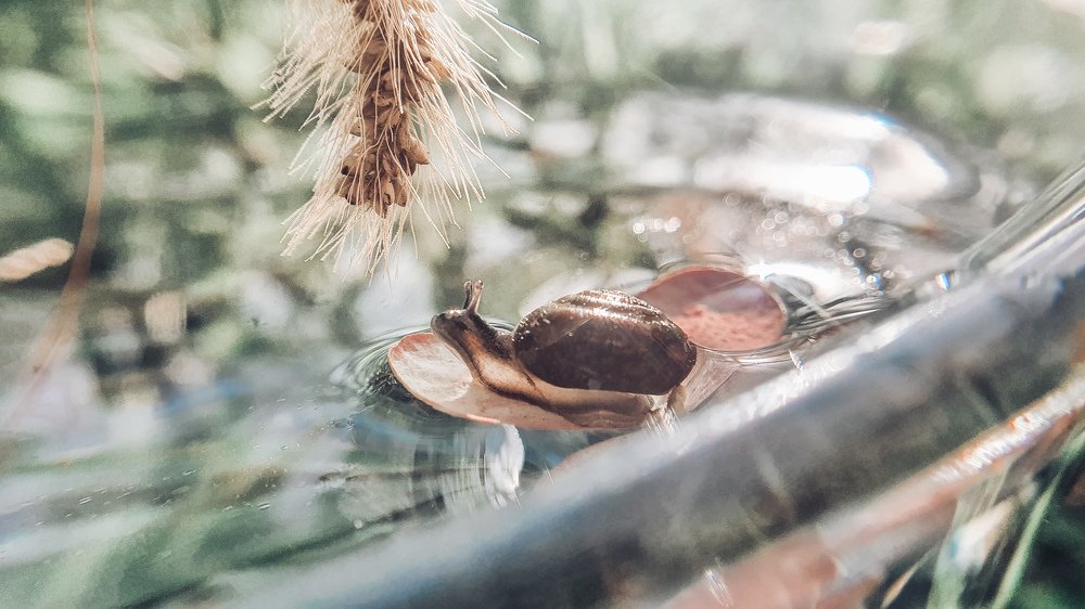 Photograph by Екатерина Фурсова