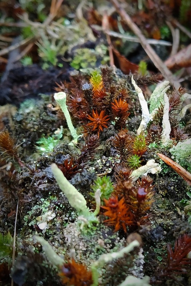 Photograph by Владимир Воложинский